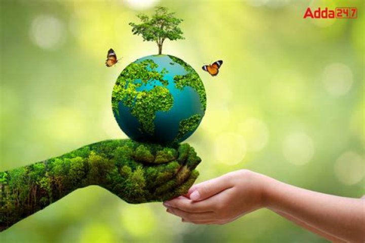 A Journey Of Environmentalism, Empowerment, And Love
